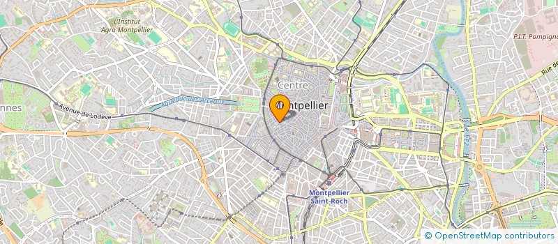 localisation de l'entreprise INDIVISION LOUIS-THERESE ANIN à MONTPELLIER