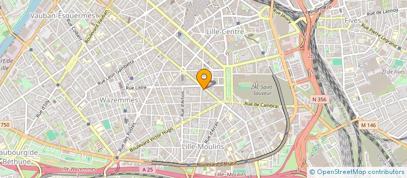 localisation de l'entreprise INDIVISION M. ET MME OBITZ à LILLE