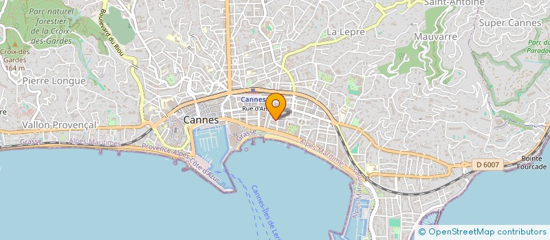 localisation de l'entreprise INDIVISION M. ET MME SYLVAIN DRIKES  CANNES