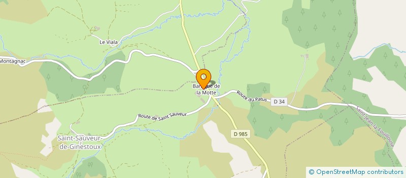 localisation de l'entreprise INDIVISION MALAVIEILLE ST LEGER  SAINT-SAUVEUR-DE-GINESTOUX