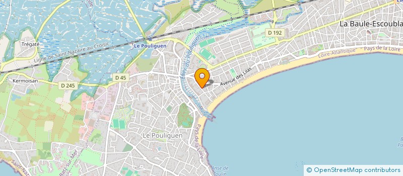 localisation de l'entreprise INDIVISION MALGUID à LA BAULE-ESCOUBLAC