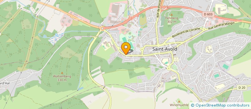 localisation de l'entreprise INDIVISION MANDRIER ALVARES à SAINT-AVOLD