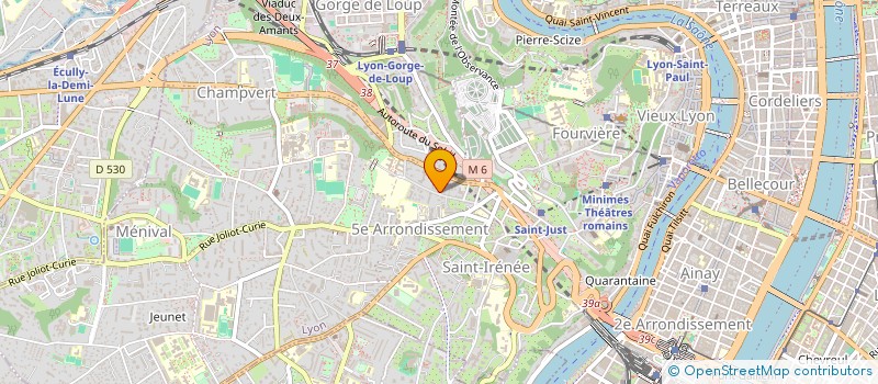 localisation de l'entreprise INDIVISION MARTIN MION à LYON