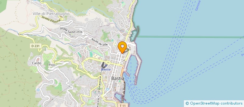localisation de l'entreprise INDIVISION MARTINELLI PIERRE ET ROLAND à BASTIA