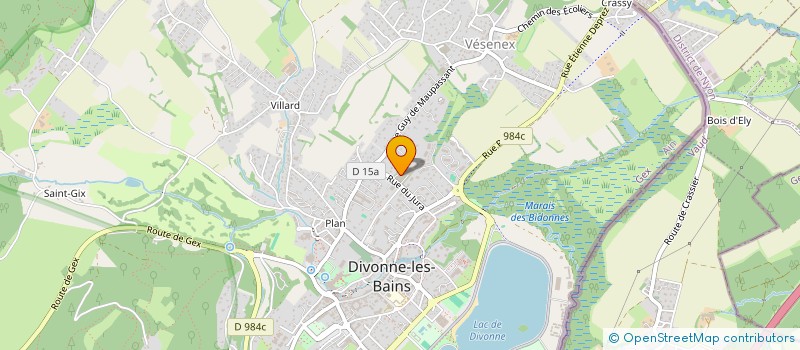 localisation de l'entreprise INDIVISION MAZE-SENCIER  DIVONNE-LES-BAINS