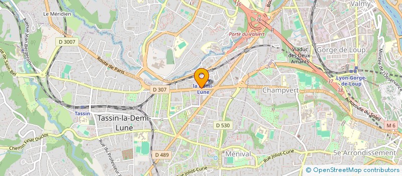 localisation de l'entreprise INDIVISION MICHALLON LUCENET  TASSIN-LA-DEMI-LUNE