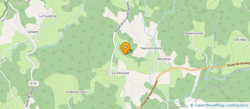 localisation de l'entreprise INDIVISION MONTAGNE YVES ET JACQUELINE ET CHAPUIS HELENE  USSON-EN-FOREZ