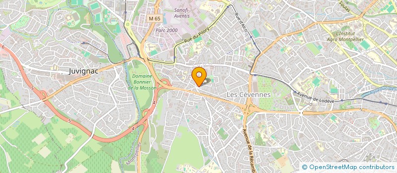 localisation de l'entreprise INDIVISION MUTHER FINO à MONTPELLIER