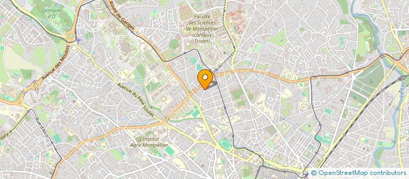 localisation de l'entreprise INDIVISION NASR / HARB à MONTPELLIER