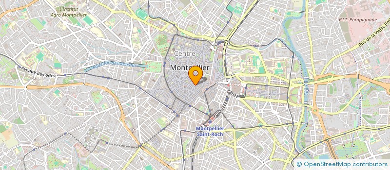 localisation de l'entreprise INDIVISION NEMIROWSKI ET VINCENT à MONTPELLIER