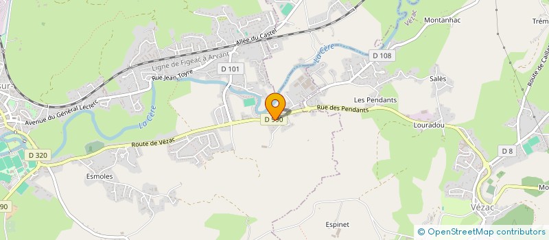 localisation de l'entreprise INDIVISION NICOLAUDIE LMNP à ARPAJON-SUR-CERE