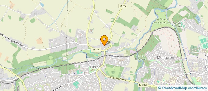 localisation de l'entreprise INDIVISION ODIC  PIBRAC