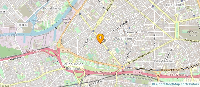localisation de l'entreprise INDIVISION OOLINGEN à LILLE