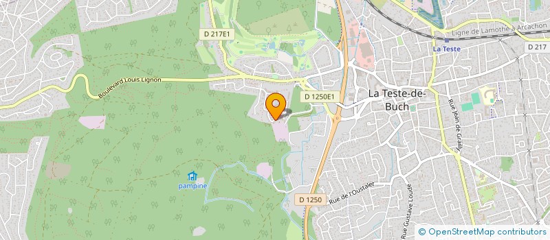 localisation de l'entreprise INDIVISION PAINEAU/MANCONI à LA TESTE-DE-BUCH