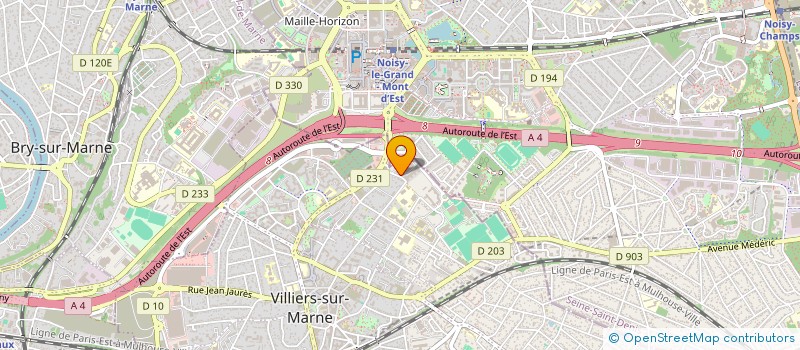 localisation de l'entreprise INDIVISION PALAZON YOANN & GRASSAUD AUDREY  VILLIERS-SUR-MARNE