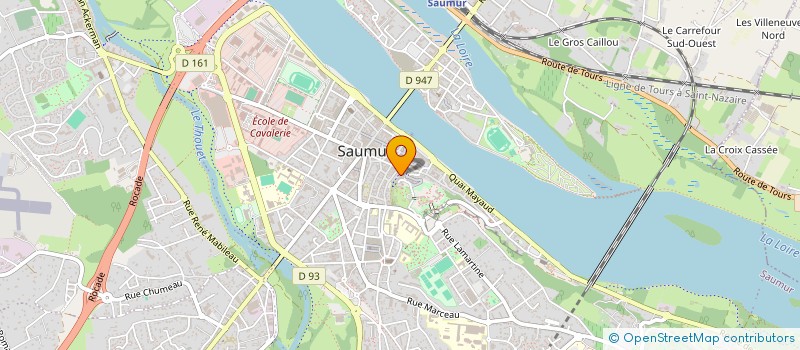 localisation de l'entreprise INDIVISION PASCALE ET REGIS GUYON  SAUMUR