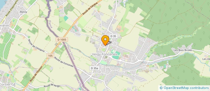 localisation de l'entreprise INDIVISION PAUME-BUGNET  VEIGY-FONCENEX