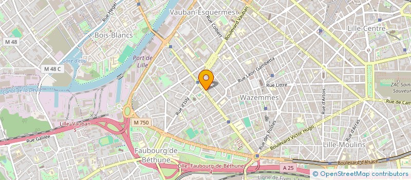 localisation de l'entreprise INDIVISION PELLETIER JULIA ET HUE MATTHIAS à LILLE