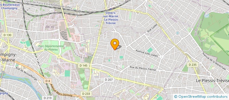 localisation de l'entreprise INDIVISION PETIT CARACCHIOLI à CHAMPIGNY-SUR-MARNE