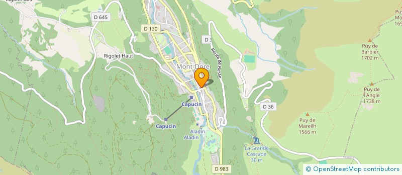 localisation de l'entreprise INDIVISION PEYRUCHAUD  MONT-DORE