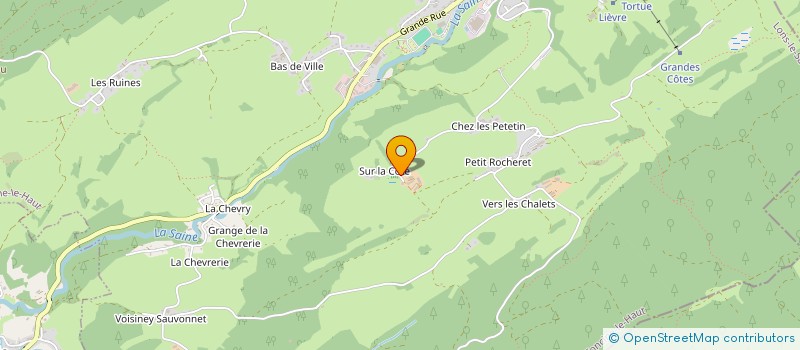 localisation de l'entreprise INDIVISION PIANET à FONCINE-LE-HAUT