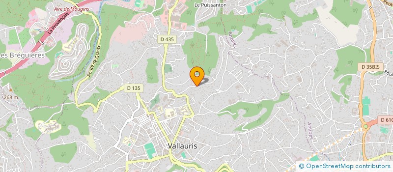 localisation de l'entreprise INDIVISION PICHOT à VALLAURIS