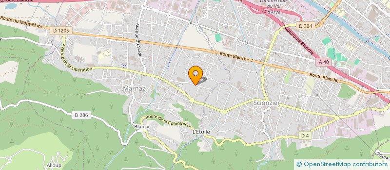 localisation de l'entreprise INDIVISION PLANTAZ FRERES  MARNAZ