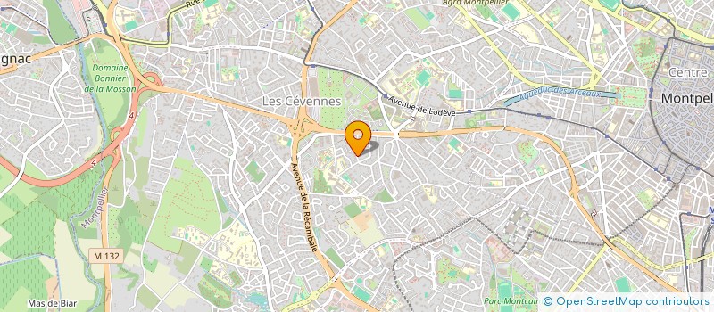 localisation de l'entreprise INDIVISION PLAUZOLLES à MONTPELLIER