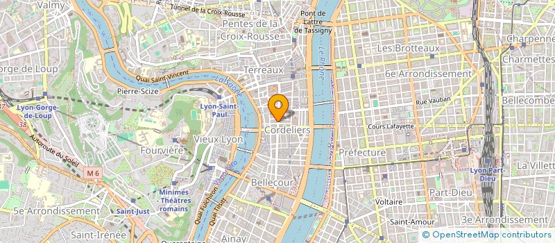 localisation de l'entreprise INDIVISION PUVIS CHAVANNES  LYON