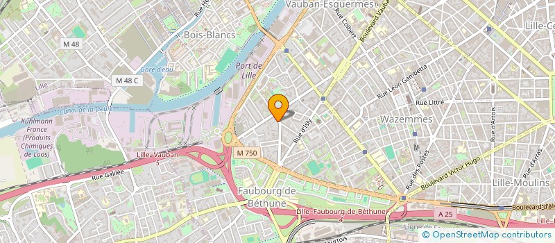 localisation de l'entreprise INDIVISION RENARD - CALLENS  LILLE