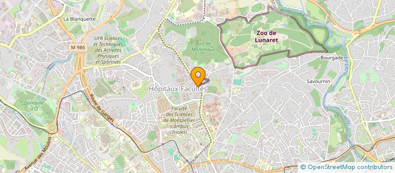 localisation de l'entreprise INDIVISION REPETTI - TUYA à MONTPELLIER