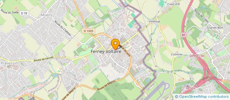 localisation de l'entreprise INDIVISION REVEILLON XAVIER PHILIPPE HUGUES  FERNEY-VOLTAIRE