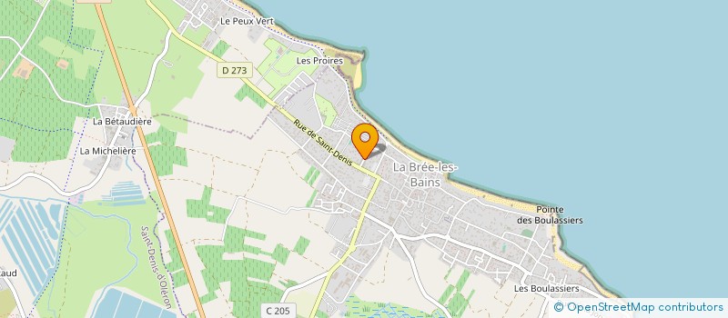 localisation de l'entreprise INDIVISION RONDY ET MAMET  LA BREE-LES-BAINS