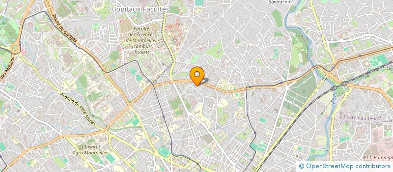 localisation de l'entreprise INDIVISION SABOUNDJI à MONTPELLIER