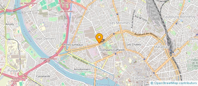 localisation de l'entreprise INDIVISION SALAS ALAIN PATRICIA  TOULOUSE