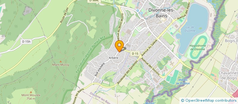 localisation de l'entreprise INDIVISION SCHMITT à DIVONNE-LES-BAINS
