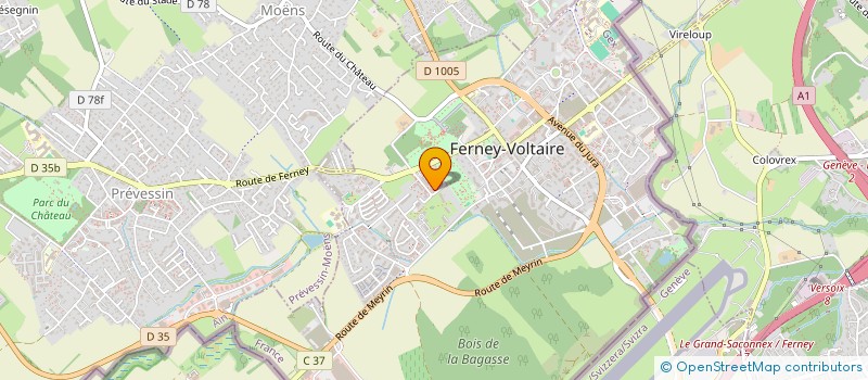 localisation de l'entreprise INDIVISION SELVAGGI-ELISEO à FERNEY-VOLTAIRE