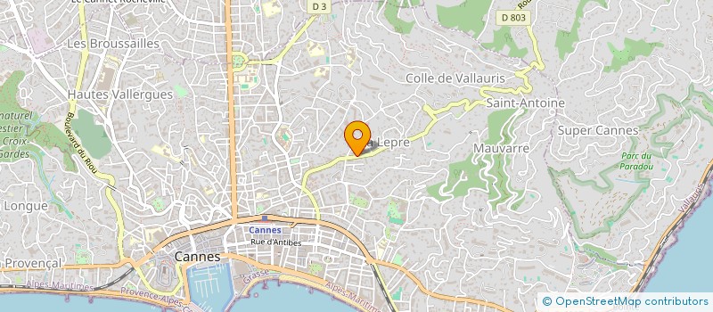 localisation de l'entreprise INDIVISION SIEGL GERALD ET OLIVIA  CANNES