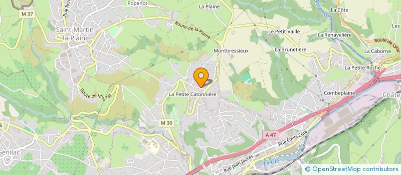 localisation de l'entreprise INDIVISION SIWULA TALEB  SAINT-MARTIN-LA-PLAINE