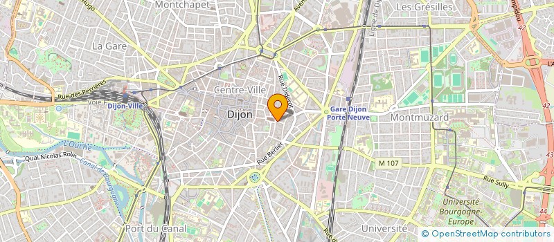 localisation de l'entreprise INDIVISION STCHEPINSKY  DIJON