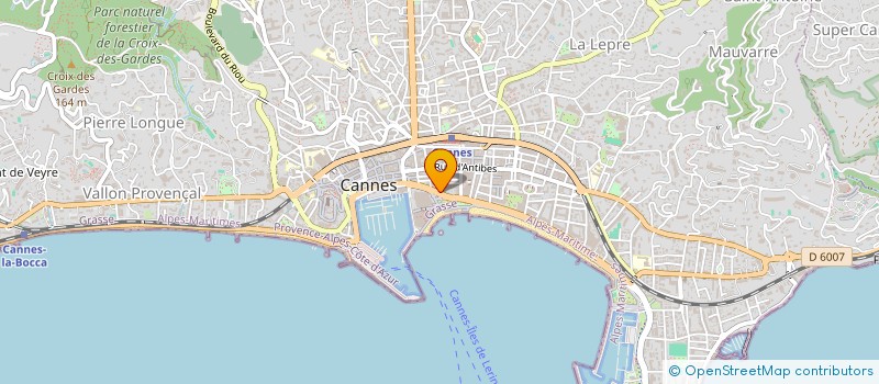 localisation de l'entreprise INDIVISION TARLANIAN LMNP  CANNES