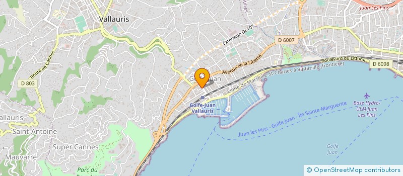 localisation de l'entreprise INDIVISION THOUEILLE à VALLAURIS