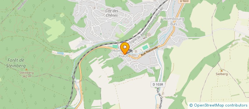 localisation de l'entreprise INDIVISION TILLY GREGORY ET ORIANE à HOMBOURG-HAUT