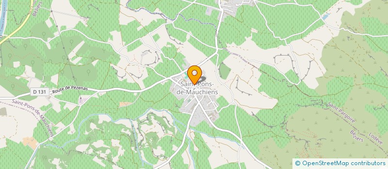 localisation de l'entreprise INDIVISION VALETTE LIONEL MARTINEZ SONIA  SAINT-PONS-DE-MAUCHIENS