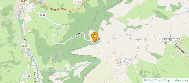 localisation de l'entreprise INDIVISION VIDAL LUC ET LAURENT  SALINS LES BAINS