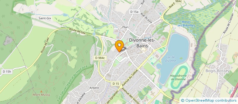 localisation de l'entreprise INDIVISION VIGNY  DIVONNE-LES-BAINS