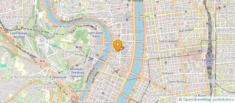 localisation de l'entreprise INDIVISION VUILIEZ RUE DE BREST  LYON