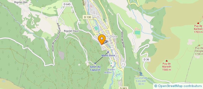 localisation de l'entreprise INDIVISION WAHL COTROUX  MONT-DORE