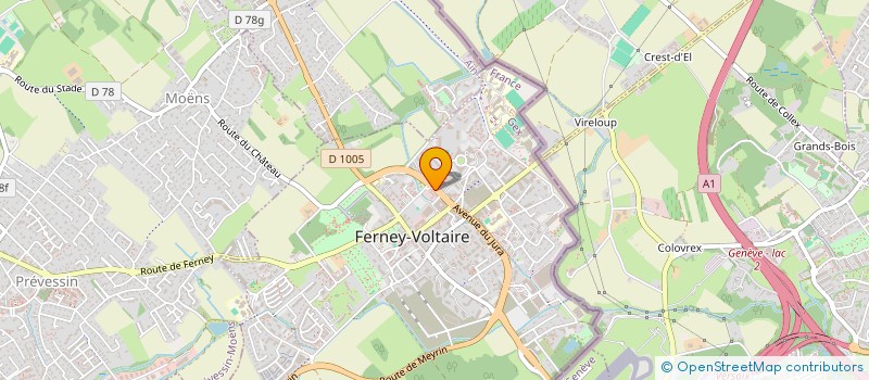 localisation de l'entreprise INDIVISION WHITE à FERNEY-VOLTAIRE