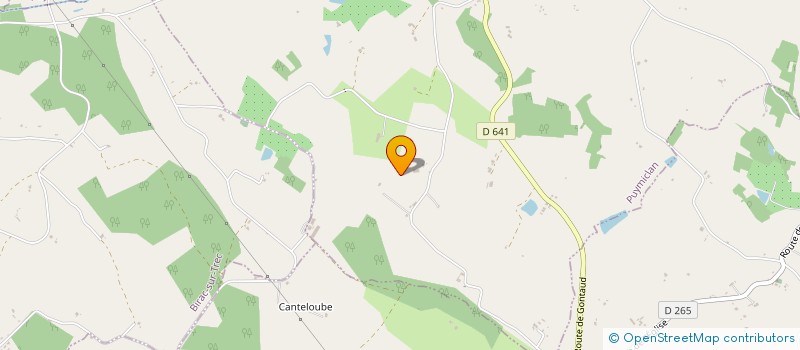 localisation de l'entreprise INDIVISION ZANUT - LAFFON DIDIER - FEILLE - LAFFON ROSELYNE  PUYMICLAN